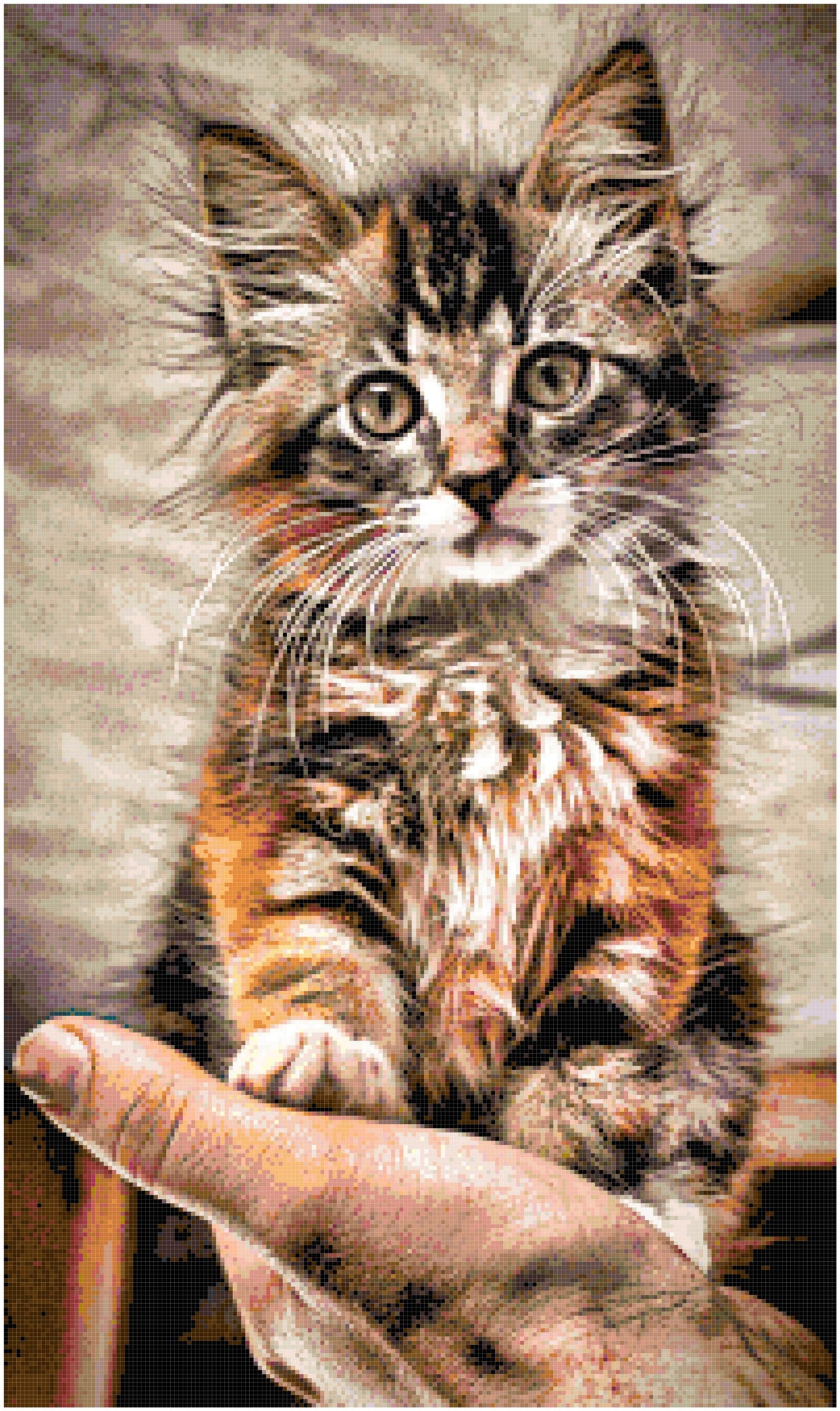 Fluffy Kitten Sitting on a Hand