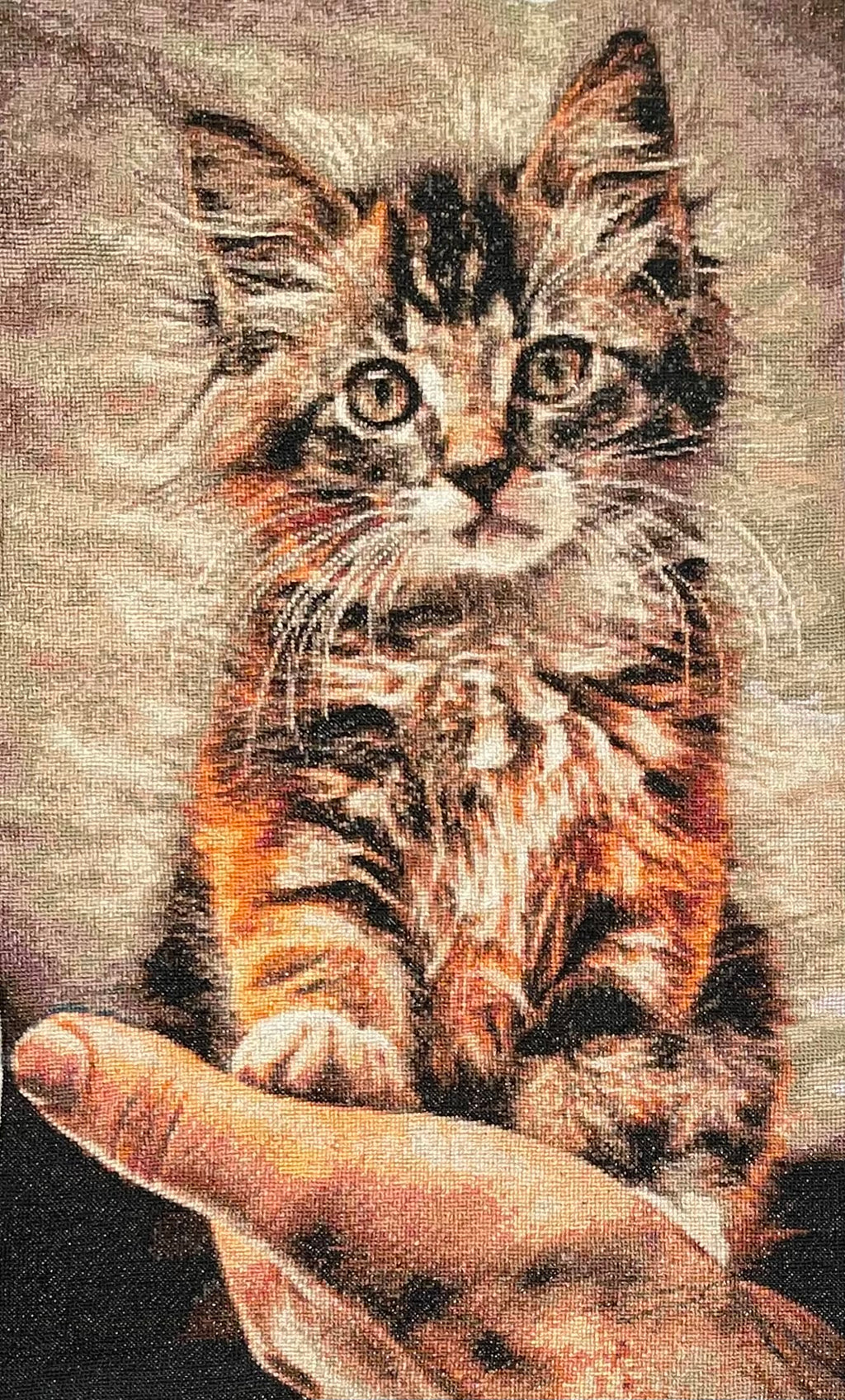 Fluffy Kitten Sitting on a Hand