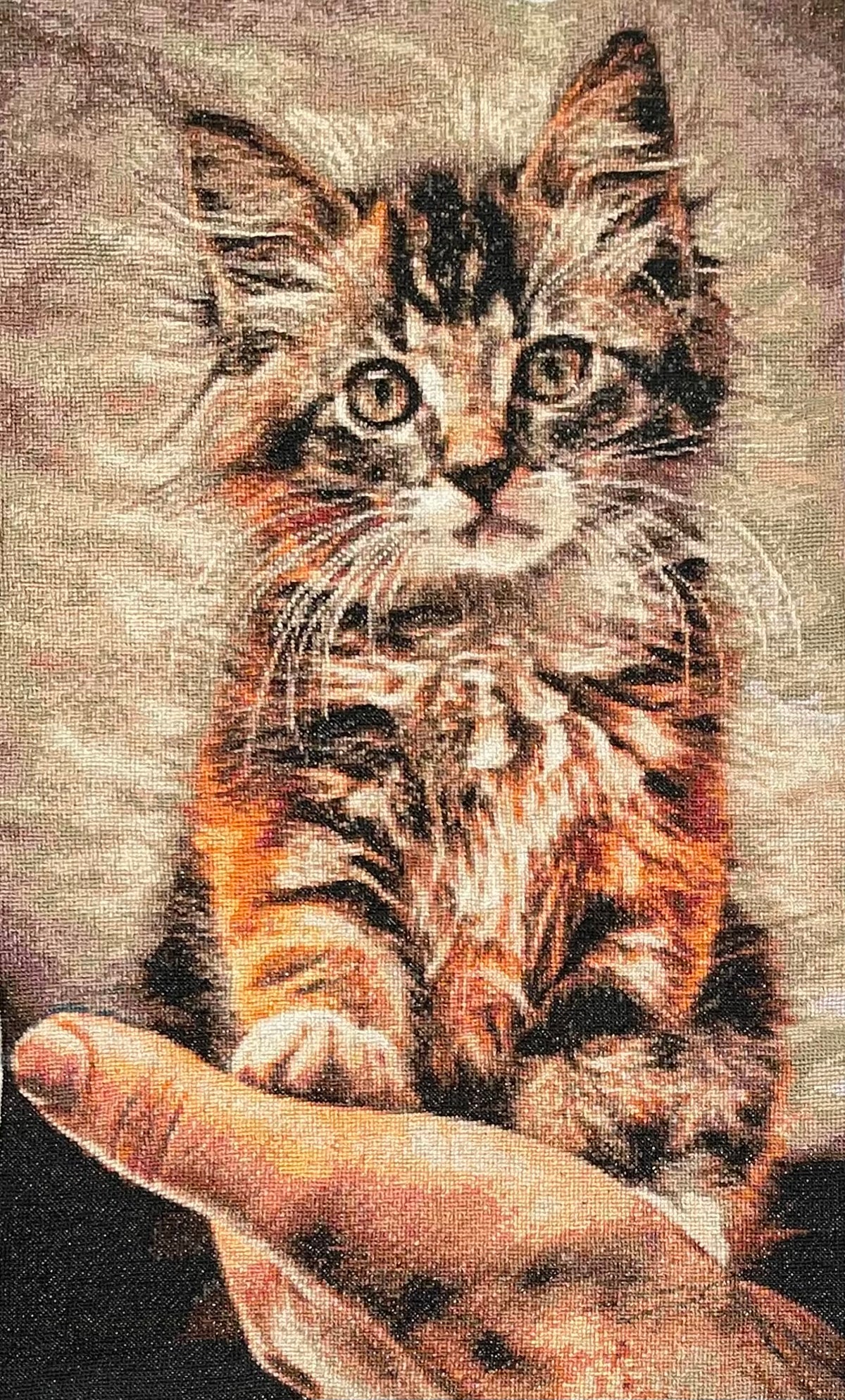 Fluffy Kitten Sitting on a Hand